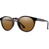 Tort/ChromPop Pol Brown