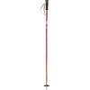Soul Poles - Vibrant Soul Ski Pole