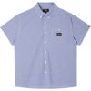 Blue Gingham