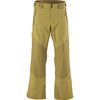 The North Face - FuseForm Brigandine 3L Pant - Men's