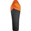 The North Face - Furnace Sleeping Bag: 35F Down