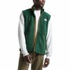 The North Face - Campshire Fleece Vest - Men's