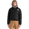 TNF Black-Recycled Down