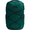 Pacific Teal/TNF Black