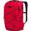 TNF Red/TNF Black