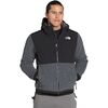 The North Face - Denali 2 Hooded Fleece Jacket - Men's