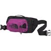 Purple Cactus Flower/TNF Black