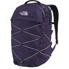 Eternal Purple/Blue Flax