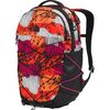 Fiery Red Print/TNF Black/Mr Pink