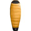 Citrine Yellow/TNF Black