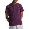 Black Currant Purple