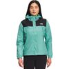 TNF Black/Wasabi
