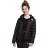 TNF Black