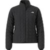 TNF Black