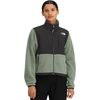 Slate Moss/TNF Black