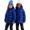 The North Face - North Down Fleece-Lined Parka - Toddlers' - Bold Blue