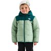 Slate Moss/Pacific Teal