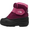 Boysenberry/TNF Black