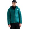 The North Face - Classic Down Hooded Jacket - Men's - Pacific Teal