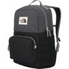 Anthracite Grey/TNF Black
