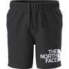 TNF Black