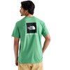 Dimmed Algae