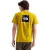 Pigment Yellow