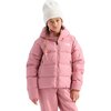The North Face - 1996 Retro Nuptse Print Jacket - Toddlers' - Polar Haze TNF Winter Dogs Print