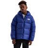 The North Face - Hydrenalite Down Hooded Jacket - Boys' - Bold Blue