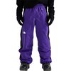 The North Face - Slider Pant - Men's - Peak Purple/TNF Black