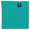 Turtle Fur - Chelonia 150 Fleece Double-Layer Neck Gaiter - Little Kids' - Alpine Teal