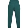 under armour sunblock crop pants