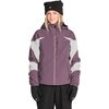 Volcom - Shelter 3D Stretch Jacket - Women's - Arctic Dust