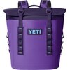 Pace Purple/Blue