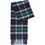 Evergreen Tartan