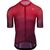 Deep Bordeaux/Tonal Deep Bordeaux/Rich Red/Belgium