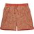 Lined Downshore Trunk - Men's image