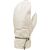 Wakayama Mitten image