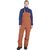 Glades Insulated Bib Pant - Women's image