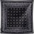 Paisley Black