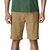 Quandary 10in Short - Men's image