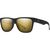 Matte Black Gold/Black Gold Polarized