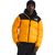 Summit Gold/TNF Black/Recycled Down