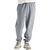 TNF Pale Grey Heather