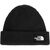TNF Black