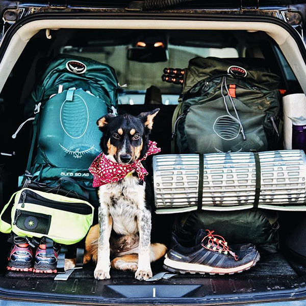 Osprey Packs Bags & Backpacks