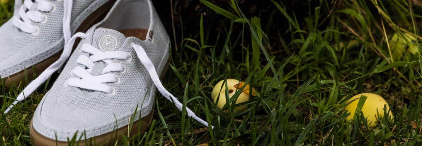 Vans Shoes, Clothing, & Accessories