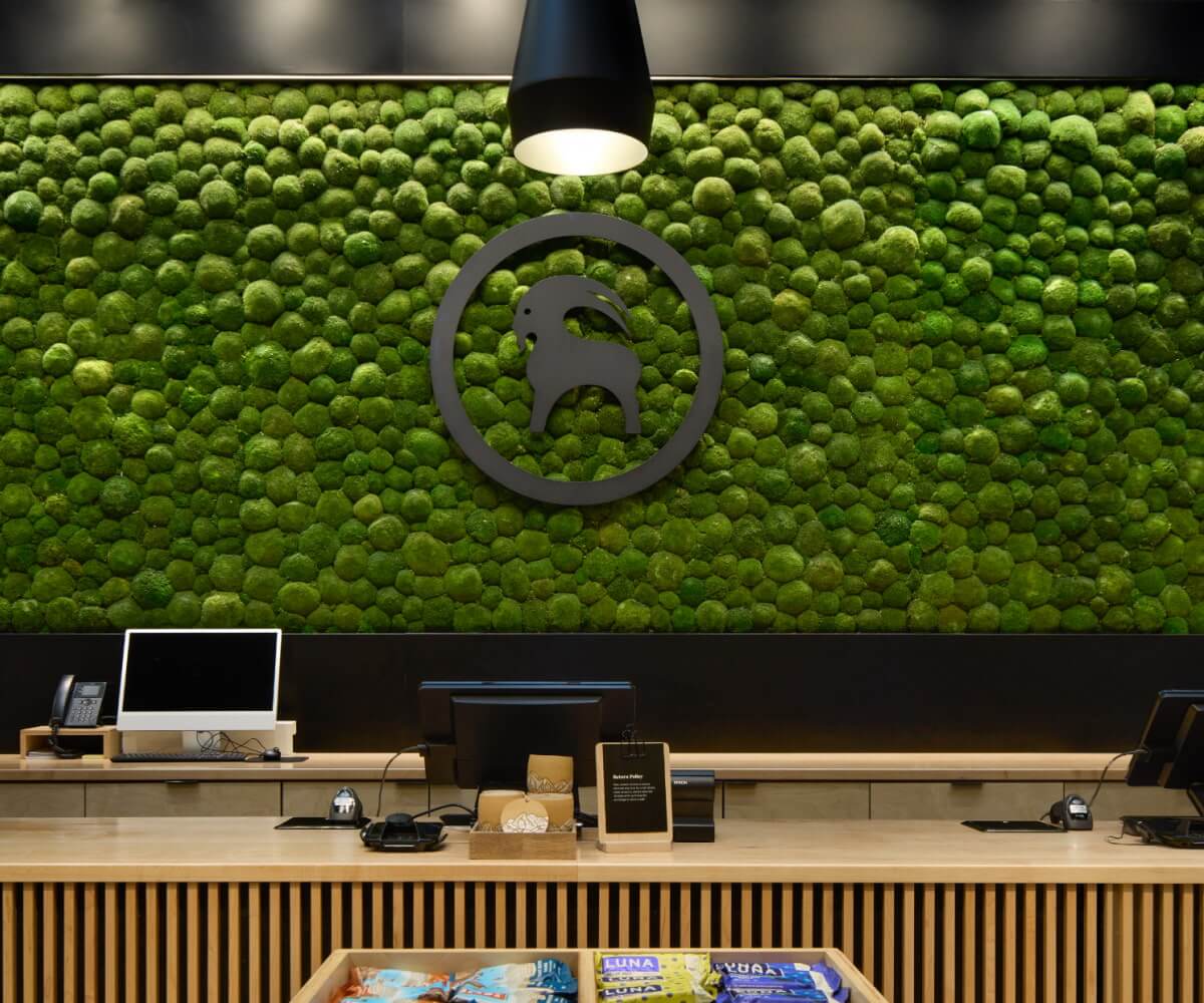 Backcountry Retail Stores