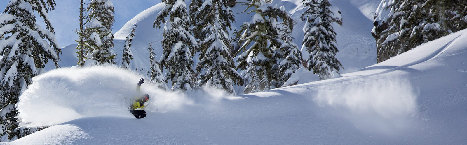 Jones Snowboards | Backcountry.com