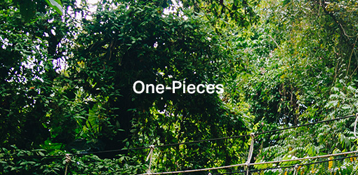 One-Pieces